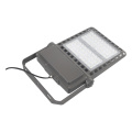 LED Flood Lamp